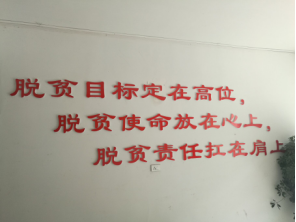 我校赴彭水县三义乡开展调研扶贫工作