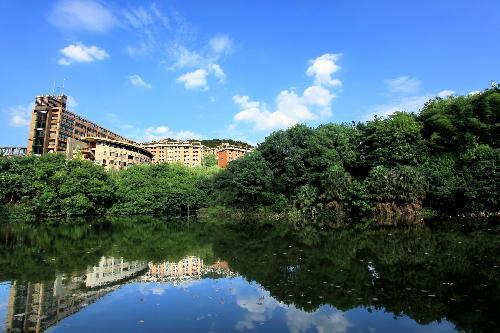 “2018年村土地利用规划编制志愿服务”实践专项活动