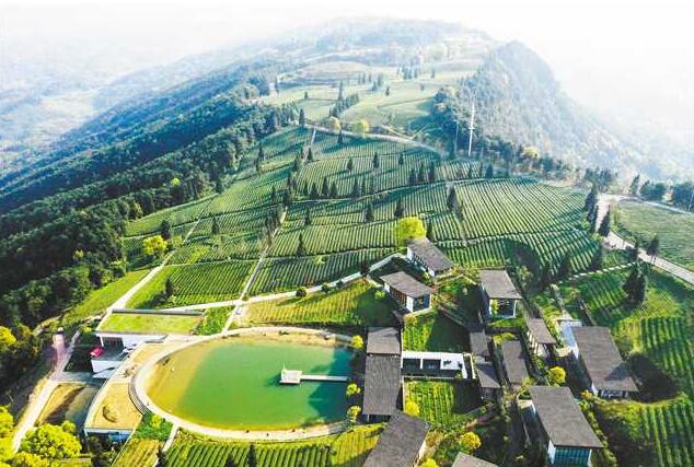 央媒讲述走向小康生活的“重庆故事”