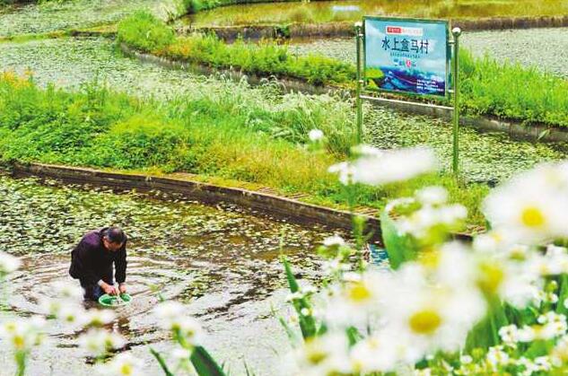 大数据智能化让扶贫更加有“数”