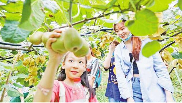 黑山致富果销售难 800市民公益消费纾困