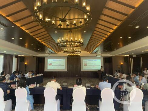 我校教师参加重庆市“三位一体”跨界交流活动